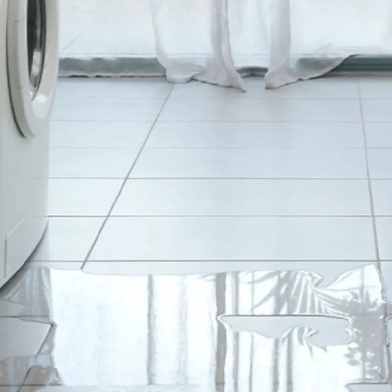 Appliance Leak Cleanup in Limestone County, AL