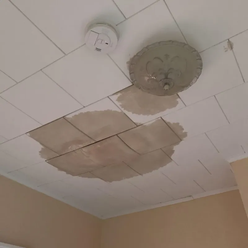 Ceiling Water Damage Repair in Limestone County, AL